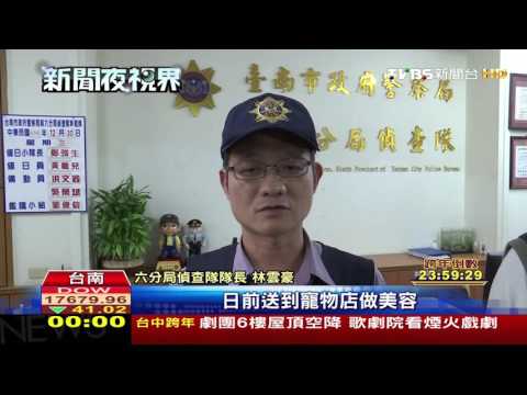 【TVBS】不滿愛犬被烘死　當鋪老闆派12人砸店