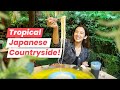 Why kagoshima prefecture should be your next travel destination in japan