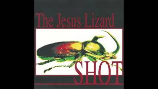 The Jesus Lizard - More Beautiful Than Barbie