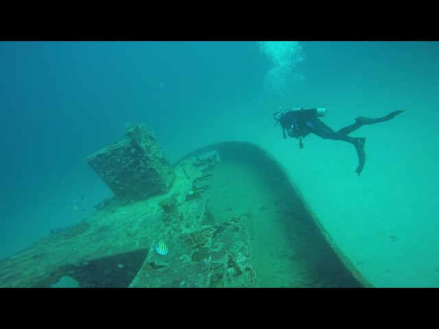 Wreck, Turtle, Shore Dives for Lionfish with Unique Dive in Aruba!