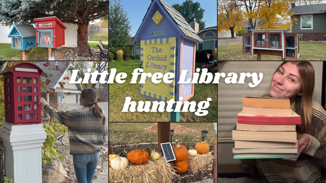 Little Free Library Vlog *so many books, book unhaul, billings montana*