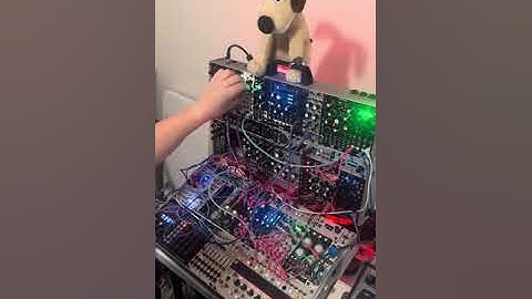 Incus Iteritas Alia firmware in this lush loop