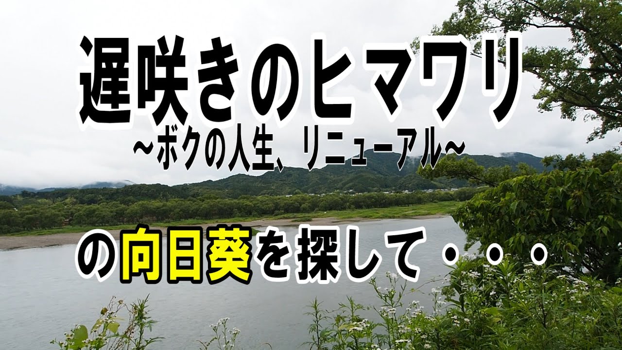 「遅咲きのヒマワリ〜ボクの人生、リニューアル〜」 の向日葵を探して - YouTube