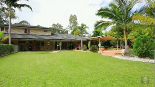 58 Wandin Street  Nerang by Alex Hayes
