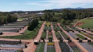 Nelson County orchards and greenhouses