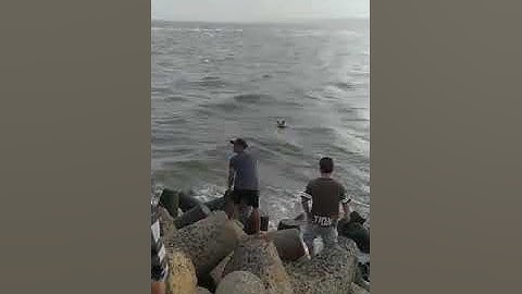 câu cá đuối Bình Thuận phan rí cửa