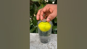 🍋Science ah illa Magic ah? 😂Lemon Experiment Revealed! ✨🍋🧪#shorts #lemon #experiment