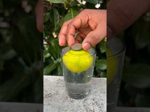 🍋Science ah illa