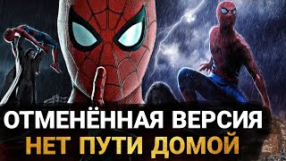 Человек-Паук: Нет Пути Домой - ОТМЕНЁННАЯ ВЕРСИЯ ФИЛЬМА. О ЧЁМ БЫЛА И ПОЧЕМУ НЕ ВЫШЛА?