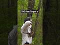TAC TN Ram target 🔥 #archery #bowhunting #shorts