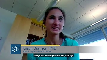 Explore Machine Learning in Neuroscience with SfN with Kristin Branson, PhD & Floh Thiels, PhD