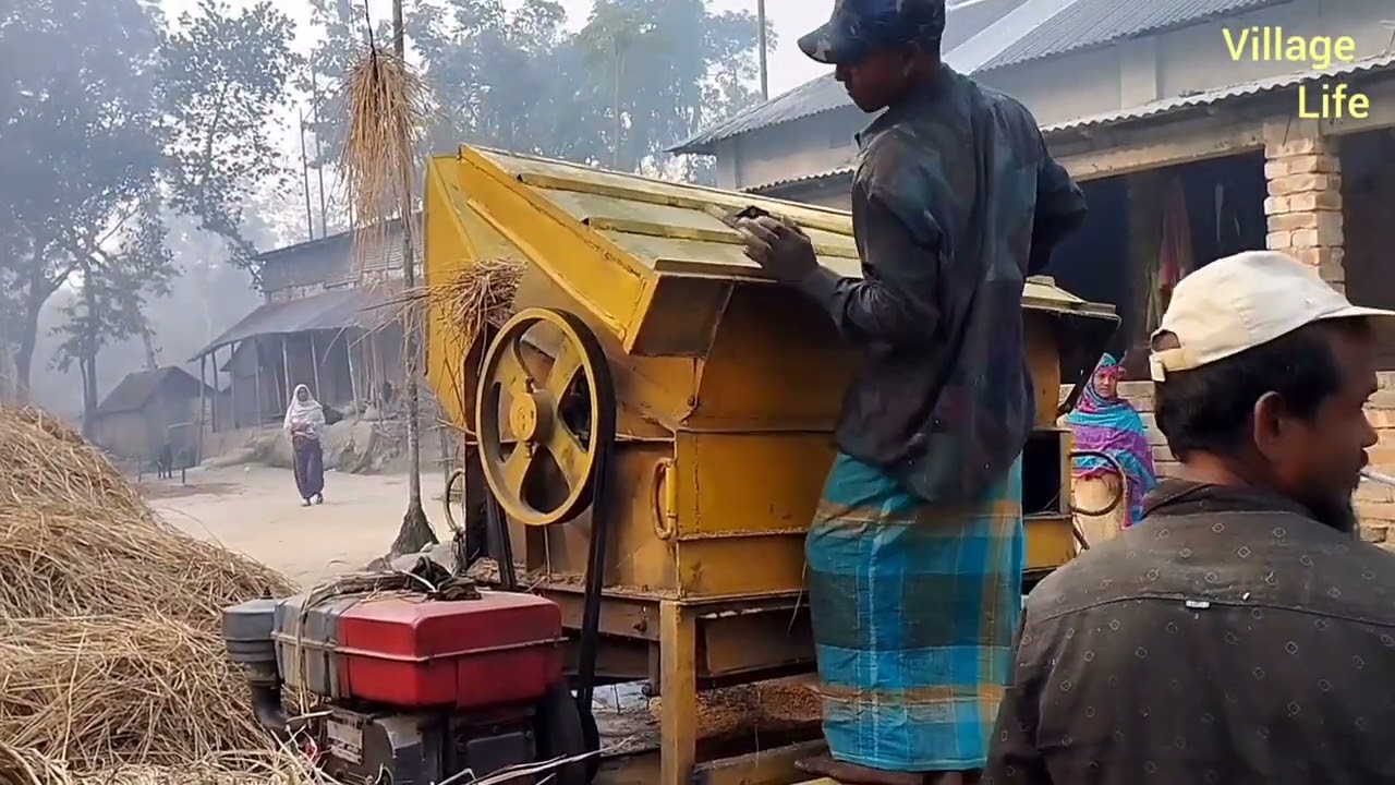 বম-মেশিন দিয়ে ধান মাড়াই (Village Life)  Shakil Hossain Babu Talukdar. (আমন ধান মাড়াই...