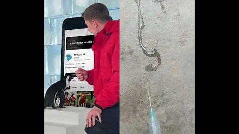 Mr beast 250million Can l Teach Penguin🐧 To Subscribe?