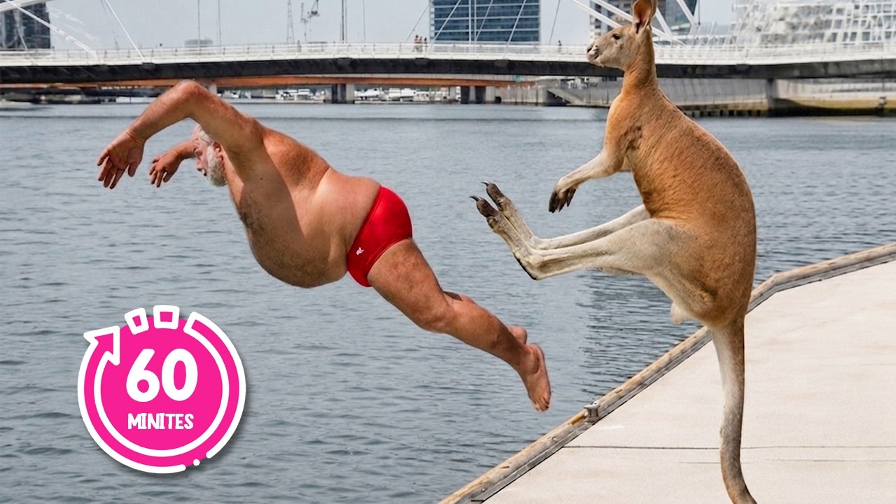 You Will Die Laughing At These Animals 😂 60 Minutes Funniest Animal Videos of the Decade!