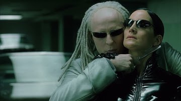 Trinity vs. The Twins The Matrix Reloaded Open Matte Fantastic Showdown