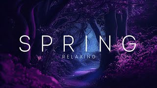 Spring Beautiful Relaxing | Relax Music | Loop Background by Cinematic Backgrounds & Timer 183 views 1 month ago 1 hour