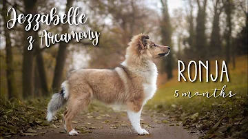 Jak zvýšit daň z příjmů?