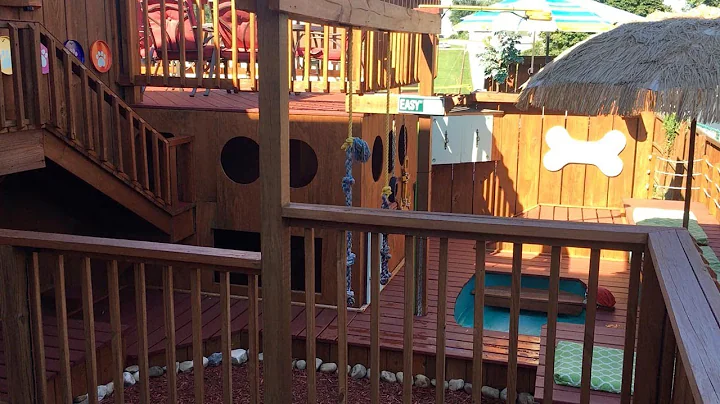 Animal Lover Creates Palace For Dogs In Backyard