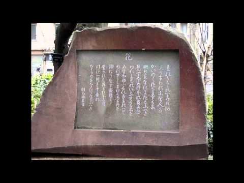 花(カラオケ).cover