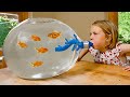 ऐसे विचित्र एक्वेरियम नहीं देखे होंगे! | Unbelievable Home Aquariums