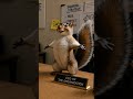 Stop using the "Squirrel Strategy" for your to-do list! 🐿️❌