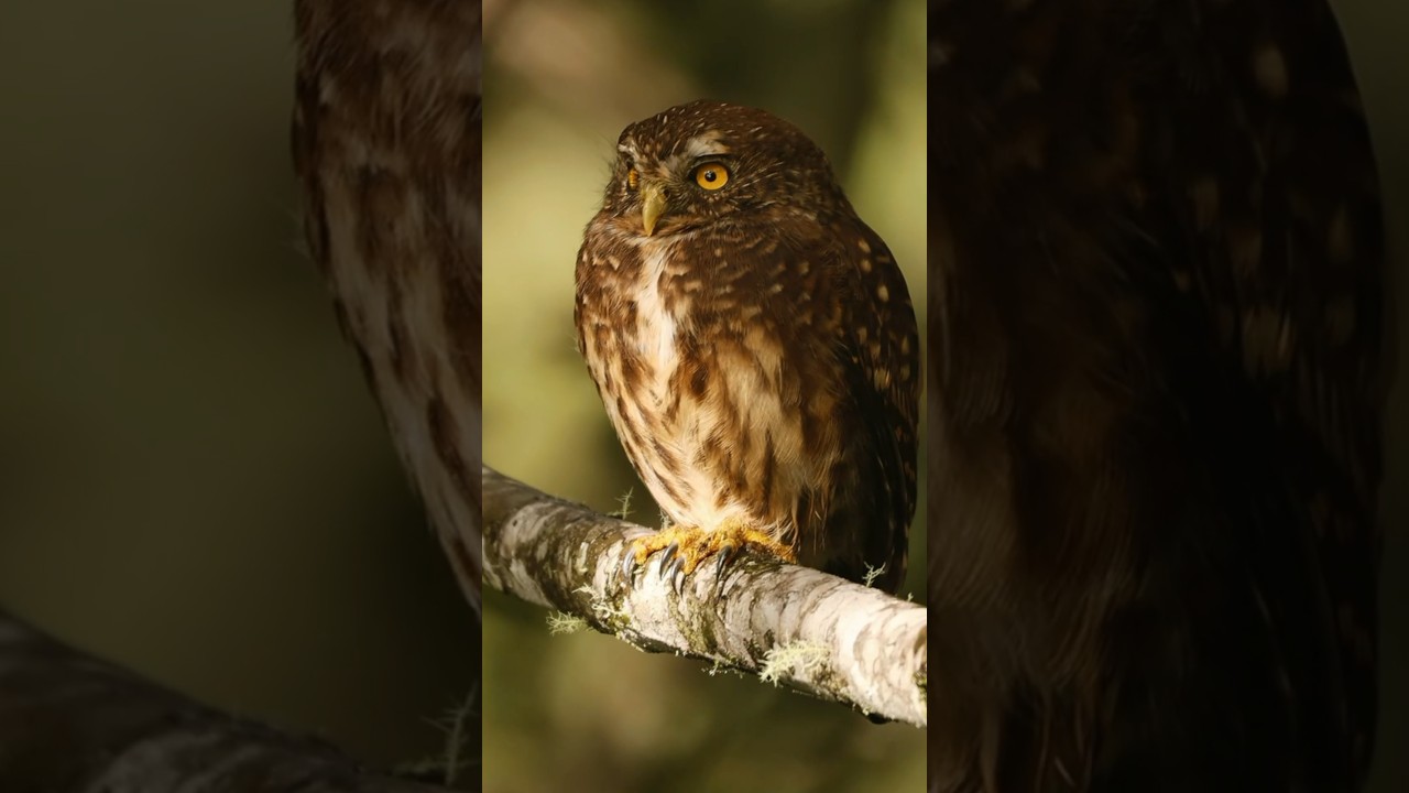 Manu Road, un increíble lugar por descubrir!!! 