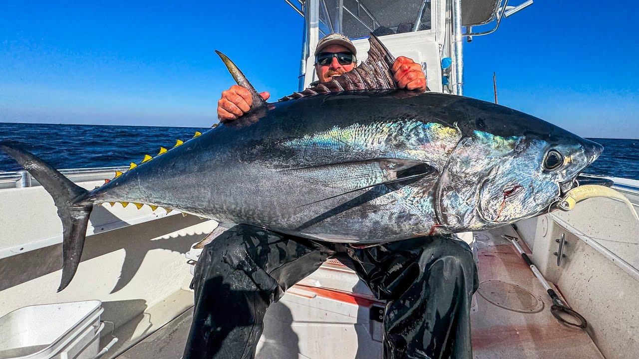 NEVER GIVE UP ! Sight Fishing HUGE BLUEFIN TUNA in New Jersey. CATCH & COOK
