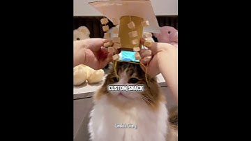 This Cat Is Too Lazy To Even Be A Cat😹🛌