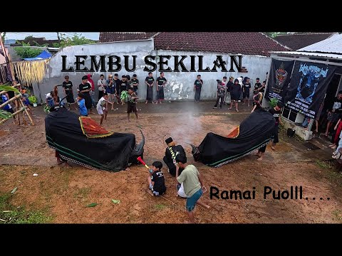 Live Bantengan Satrio Glagah Suro LIMOUSIN ORIGINAL Lokasi Jl.Kanjuruhan Tlogomas Kota Malang