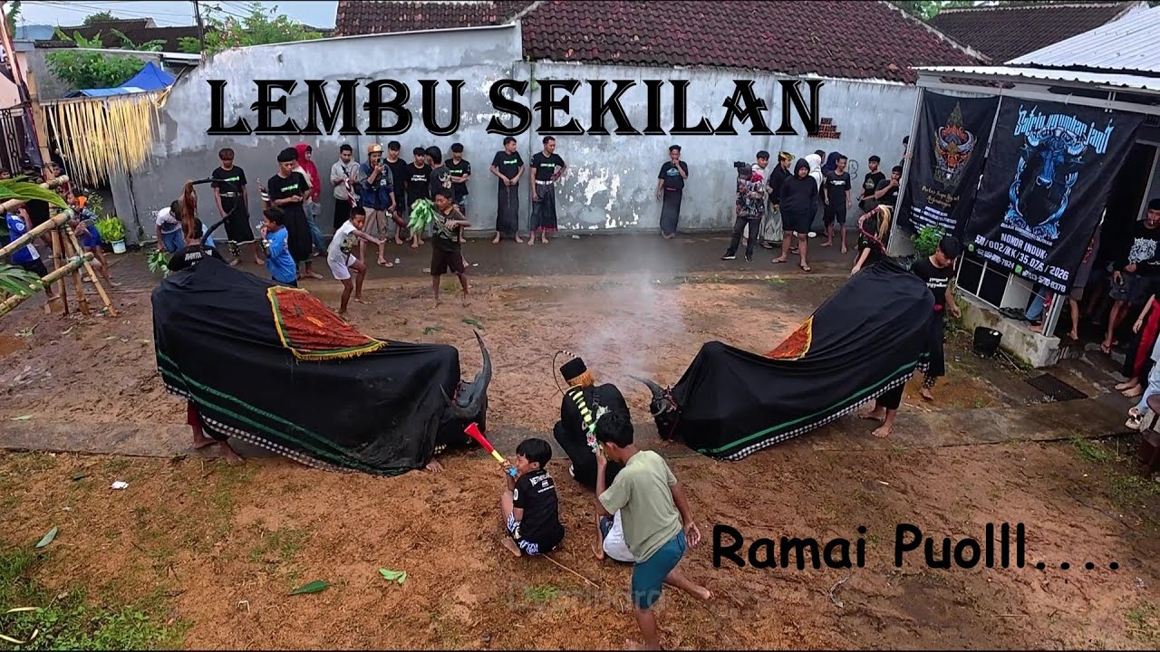 Aku ditengah mberot'tane bantengan Lembu Sekilan full kalapan