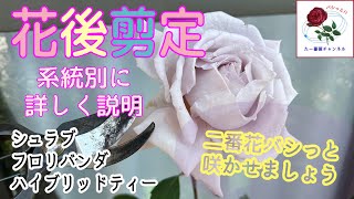 mqdefault.jpg