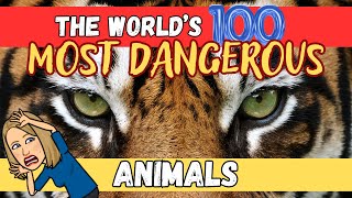 🦁 🦈 The World’s 100 MOST DANGEROUS Animals (Part 1) 🐯🐻 #animals, #dangerousanimals, #animalsforkids