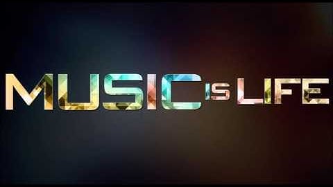 Martin Garrix & Avicii ft. Justin Bieber - Fly [Mp3]