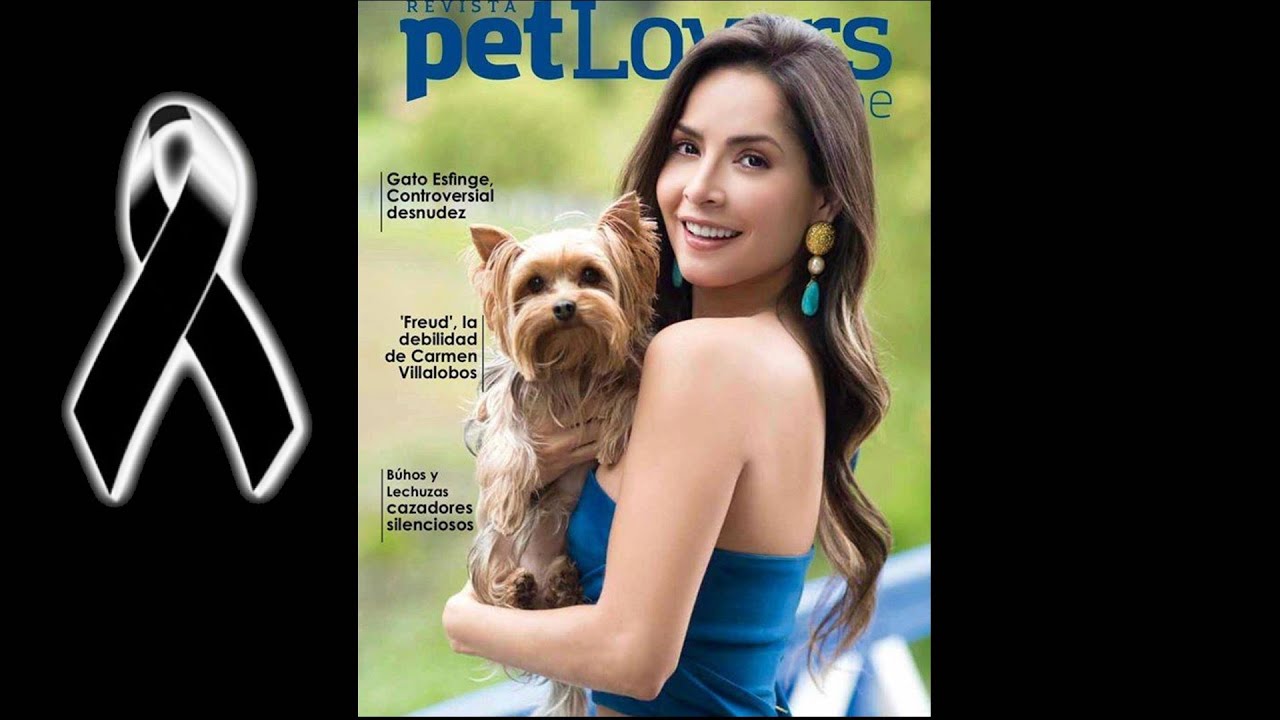 LUTO EN LA FAMILIA DE LA QUERIDA ACTRIZ COLOMBIANA; Cientos de mensajes de pésame de sus seguidores.