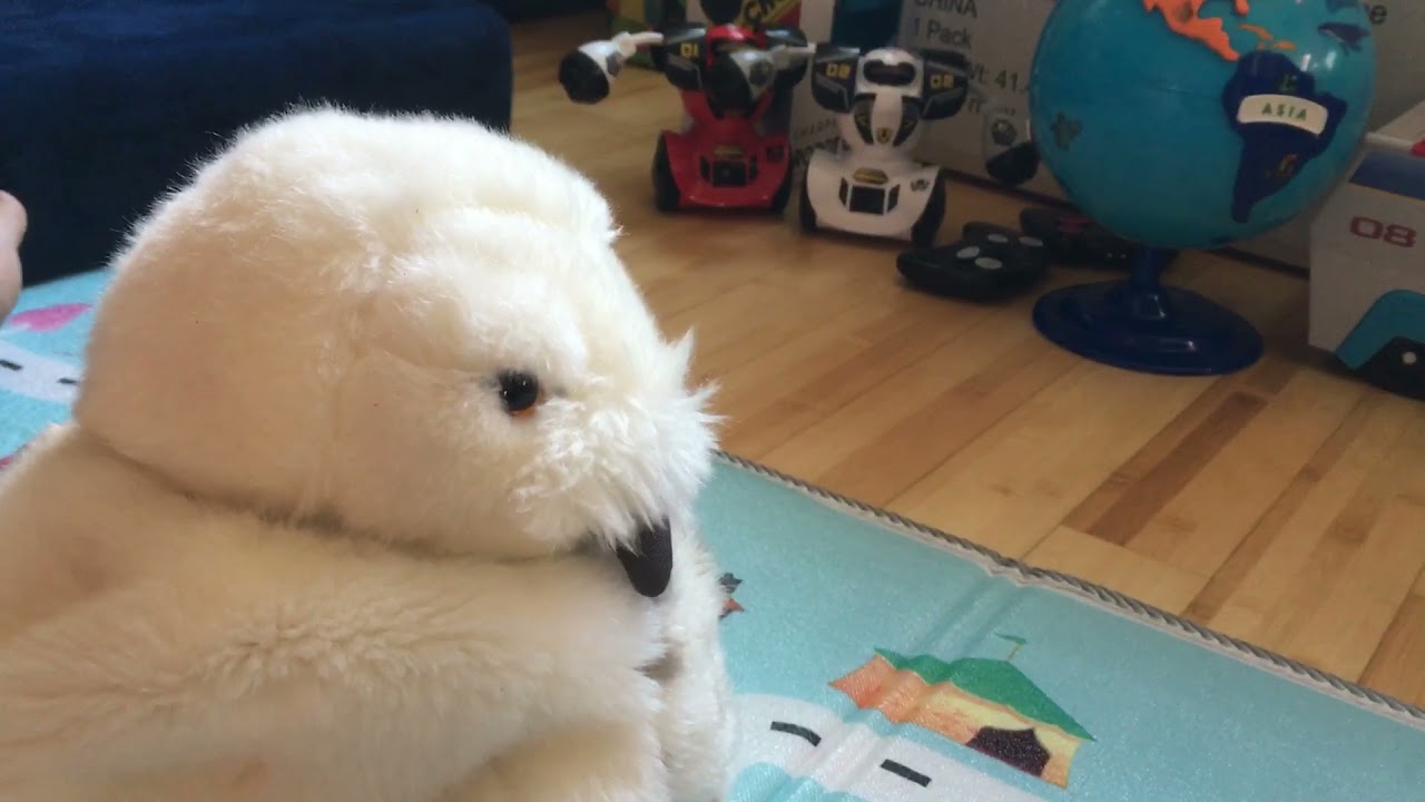 hedwig puppet universal studios