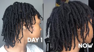 4 Month Loc Journey With Pictures and Videos | Two Strand Twists