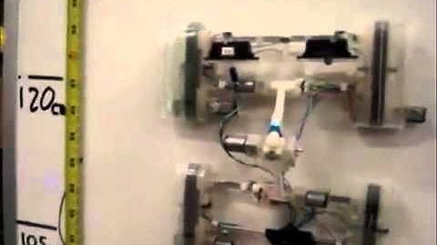 Geckos Inspire Wall-Climbing Robot