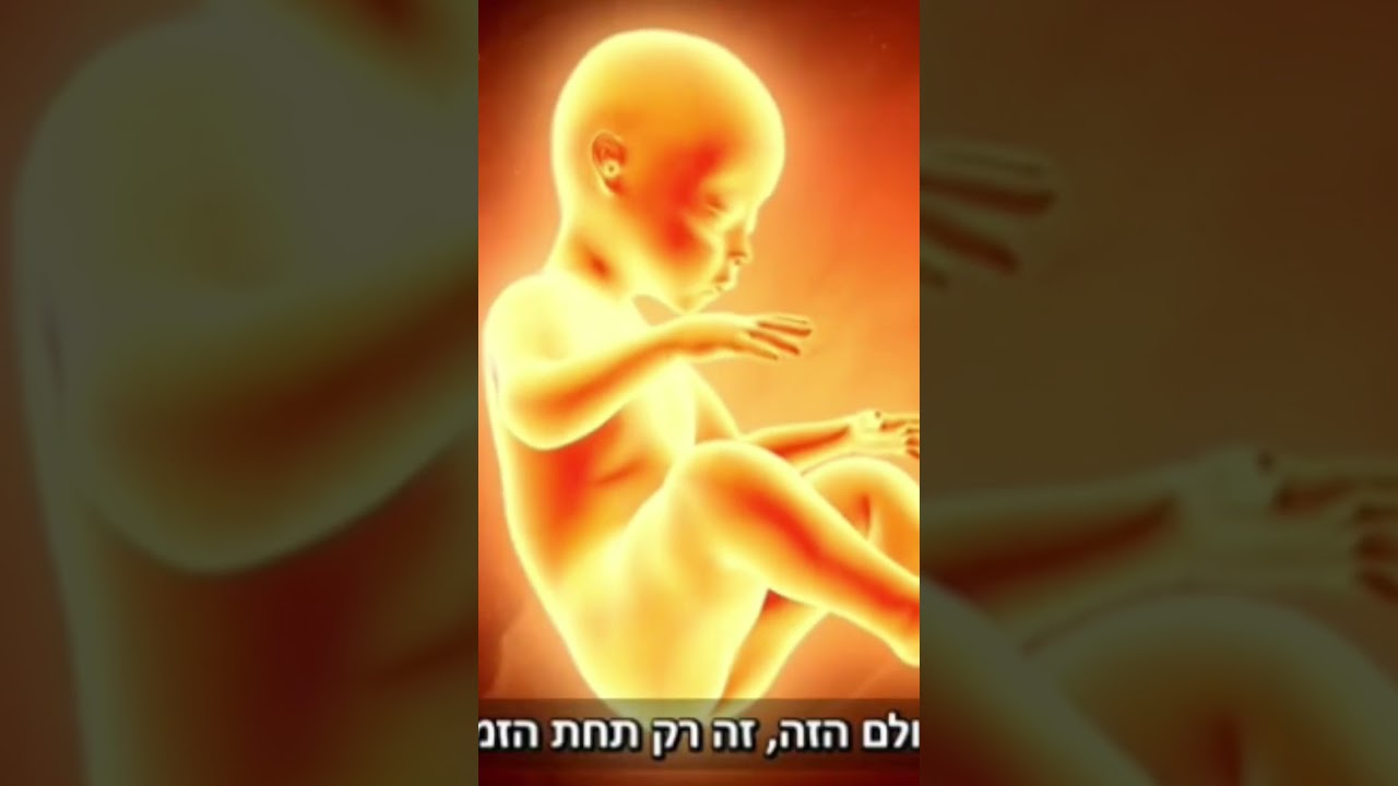 Uploads from הרב מאיר שלמה הערוץ הרשמי