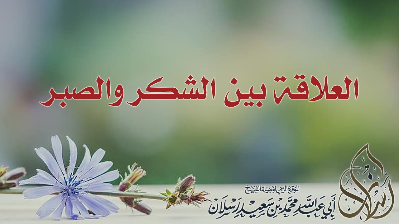العلاقة بين الشكر والصبر