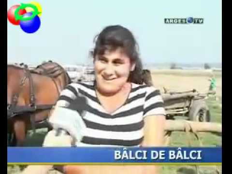 balci de balci la piscani balci de balci la piscani