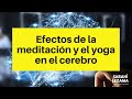 Efectos de la meditación y el yoga en el cerebro.