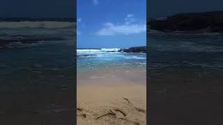 #piscis #signo #zodiacal #masculinidad #waves #surf #amor #amorpropio #disciplina #lealtad #vida