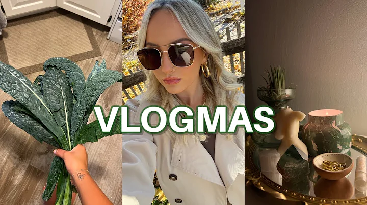 VLOGMAS DAY 12: shopping at trader joes, at home date night + taking IG pics with Brittney