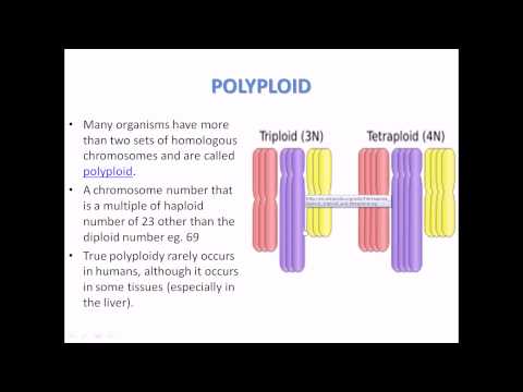 Video: Polyploidy ni nini: Kukuza Tunda la Polyploid lisilo na Mbegu