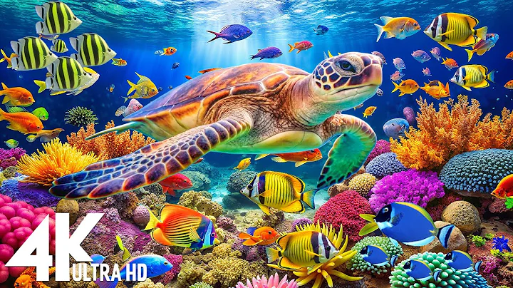 Underwater World 4K (ULTRA HD) – Marine Life, Sea Animals and Coral Reef with Ocean Sounds #5 thumbnail
