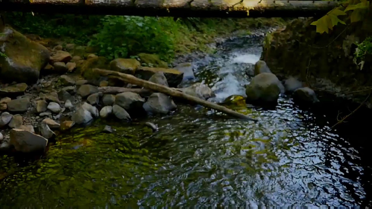 Watch walking alone with the river on YouTube Watch walking alone with the river on YouTube