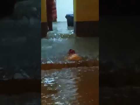 ESTÁ PASANDO ️ Varias viviendas presentan inundación en la ciudad de Ovalle, región de Coquimbo el v