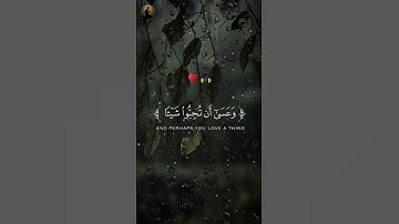 وعسى أن تكرهوا شيئا وهو خير لكم | تلاوة هادئ بصوت محمد هشام