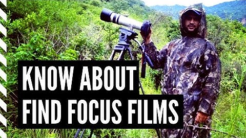 Find Focus Films Intro - What We Do