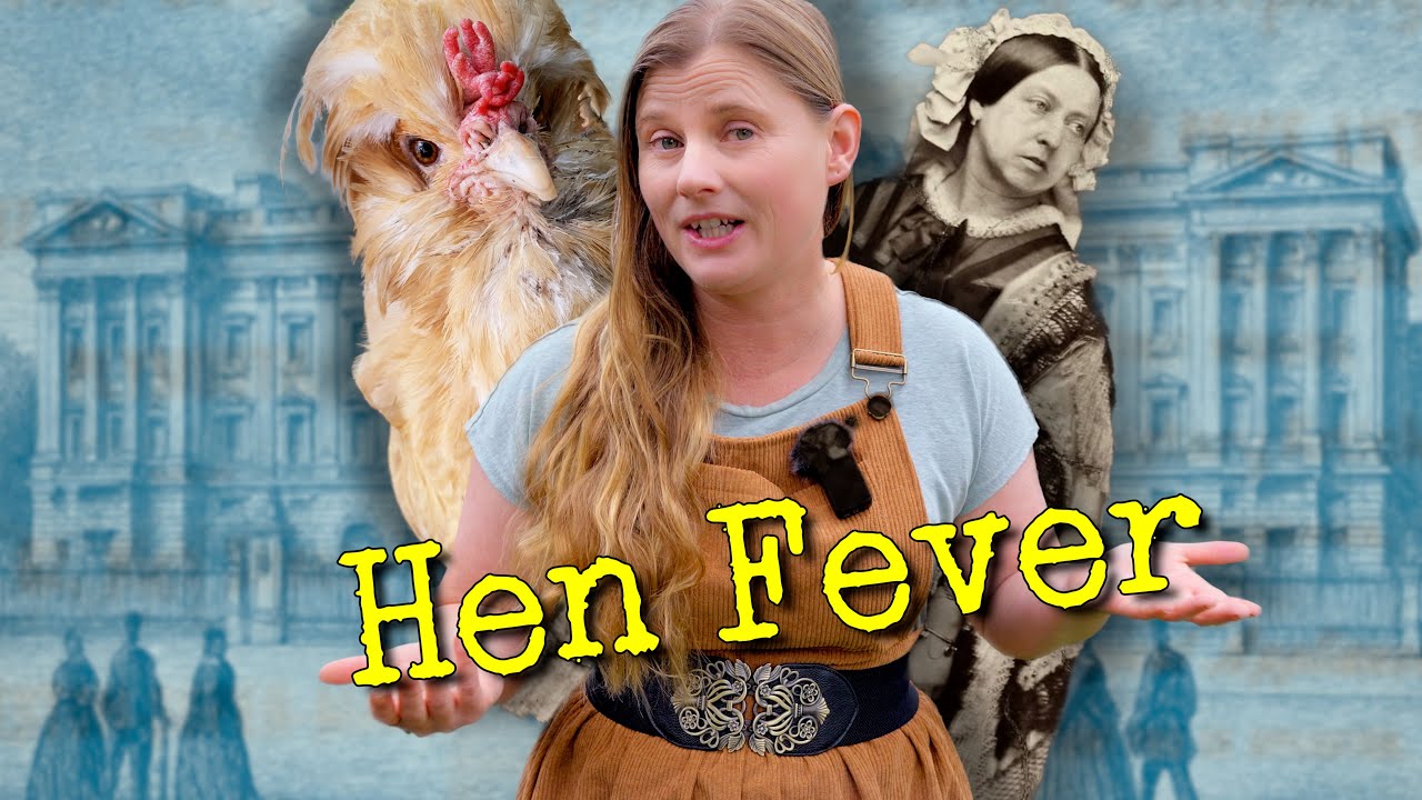 Куриная лихорадка: странный куриный пузырь, создавший все исторические породы